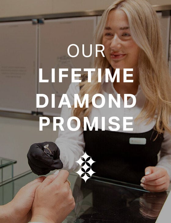 Fields IE Lifetime Diamond Promise Guarantee