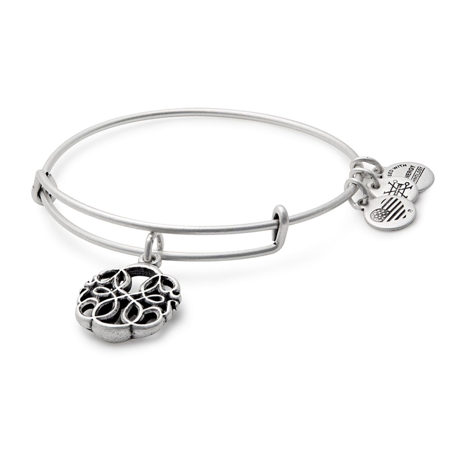 Alex and Ani Rafaelian Silver Path Of Life IV Charm Bangle
