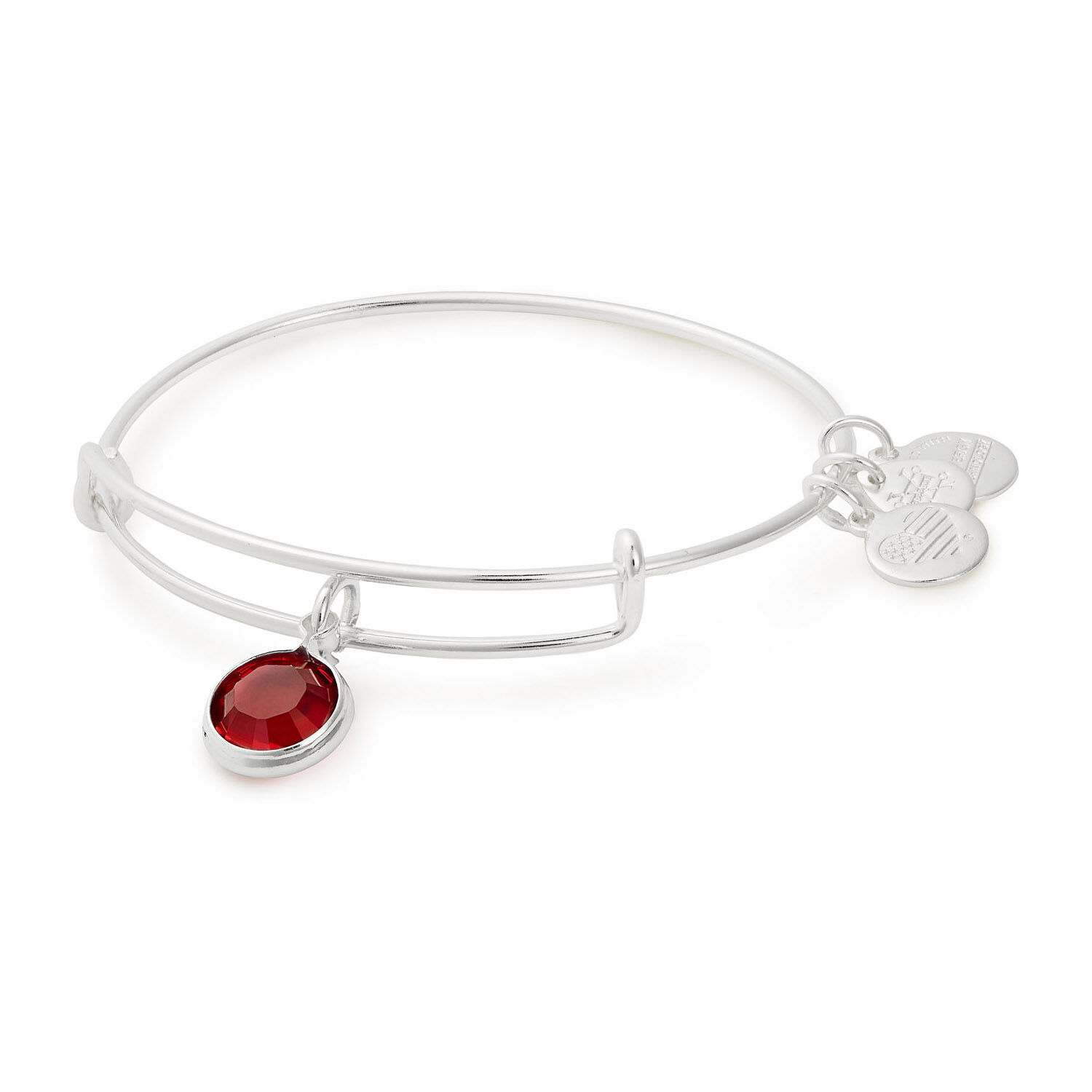 Alex and ani birthstone january discount