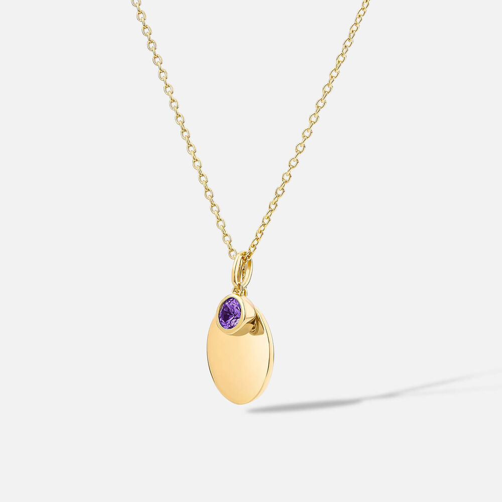 Yellow Gold Plated Vermeil Sterling Silver February Birthstone Amethyst Disc Pendant