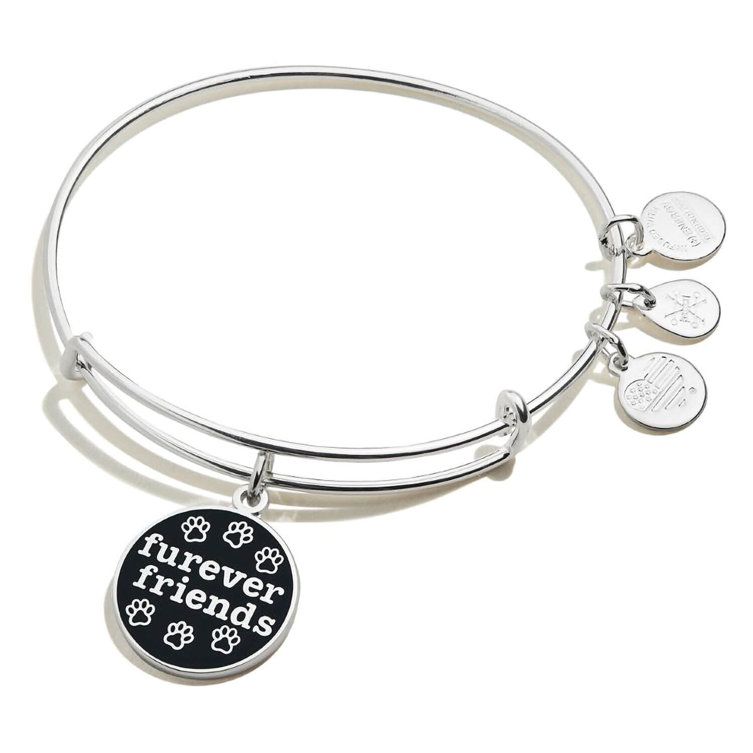 Alex And Ani Rafaelian Silver Furever Friends Bangle