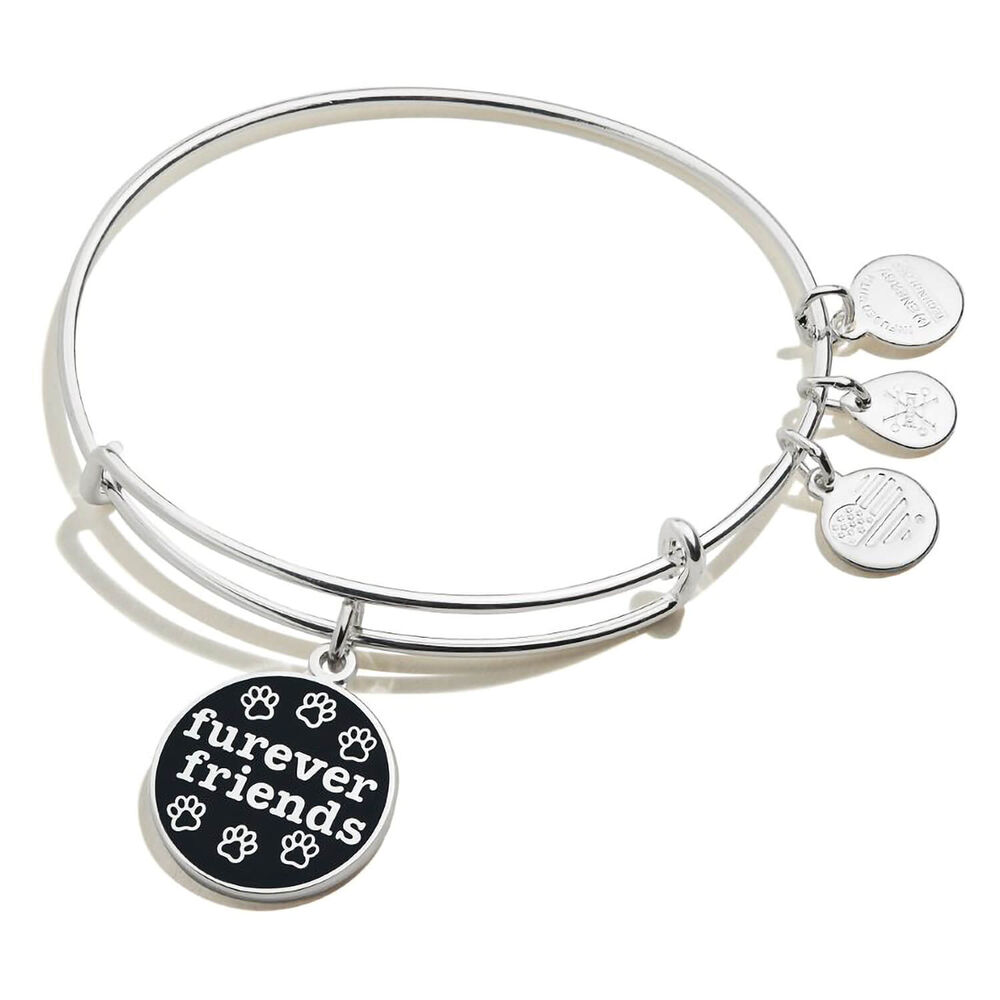 Silver Alice And Andy Bracelets Best Friend Bracelet Alex And Ani