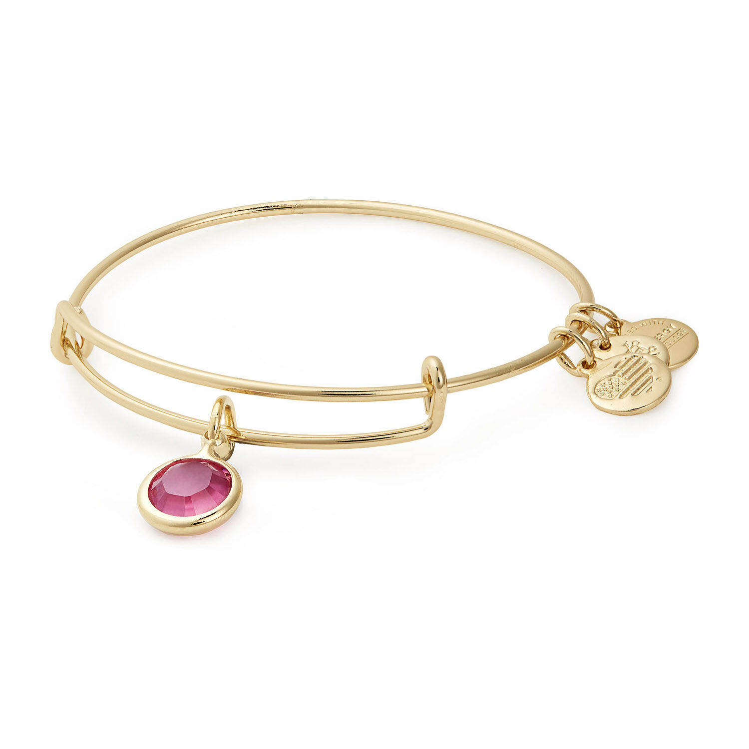 Alex and discount ani birthstone bracelet