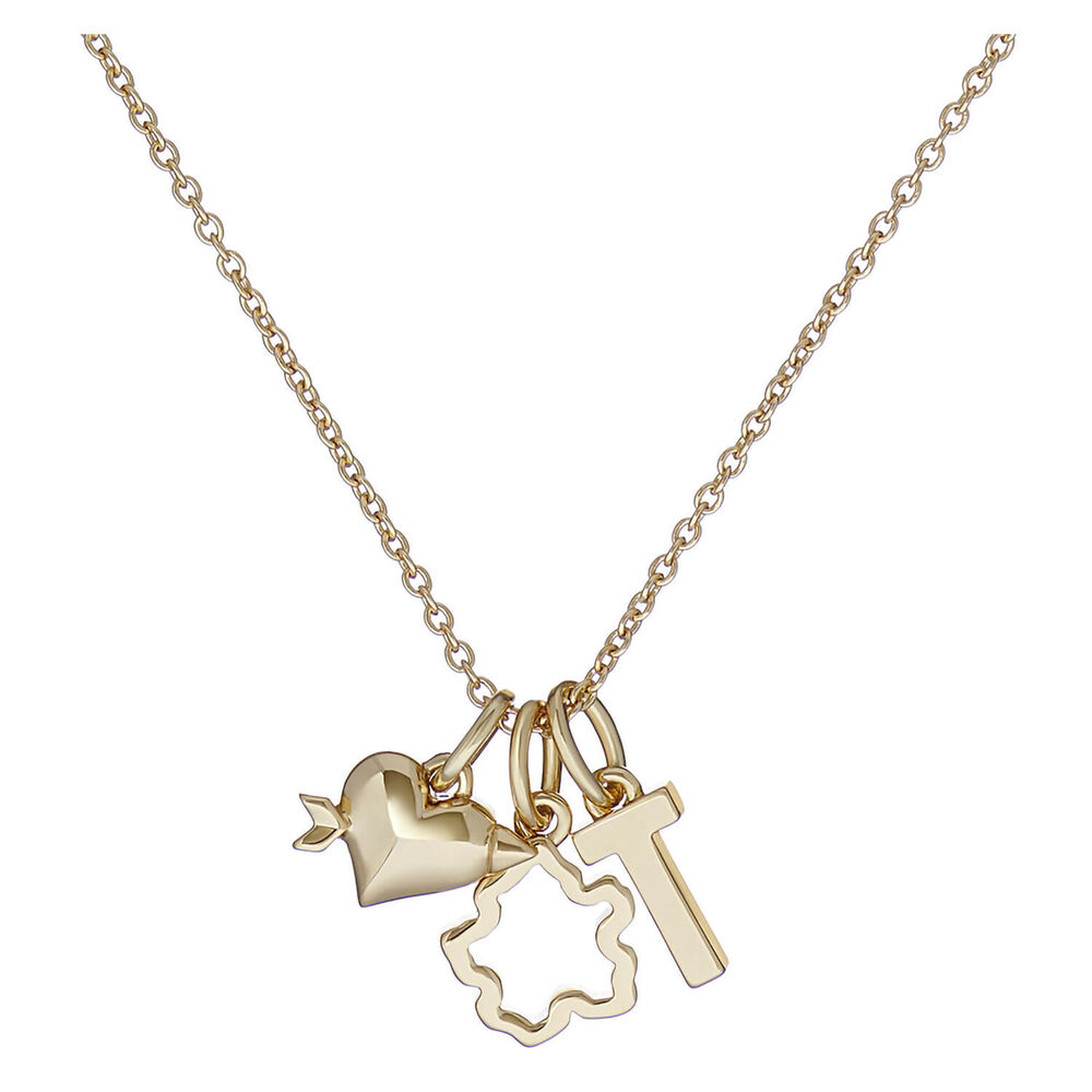 Ted Baker 3 Interchangeable Gold Tone Charms Set image number 4
