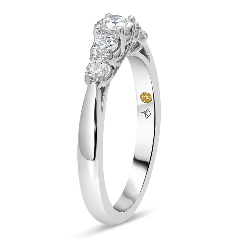 Northern Star 18ct White Gold 0.50ct Diamond Gradual Five Stone Ring image number 3