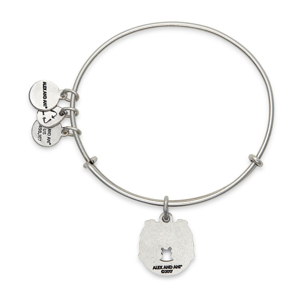 Alex and Ani Rafaelian Silver Fortune's Favour Bangle image number 1