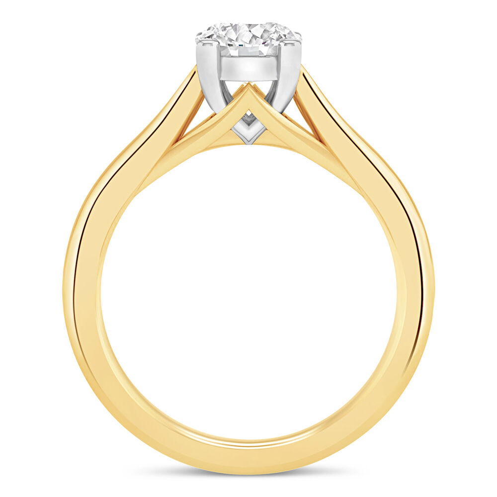 18ct Yellow Gold 1.00ct Round Diamond Orchid Setting Ring image number 5