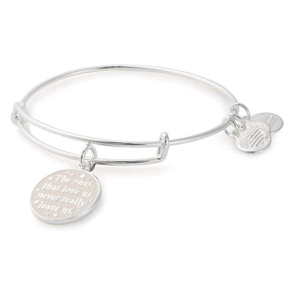 Alex and Ani Silver Harry Potter The Ones That Love Us Bangle image number 0
