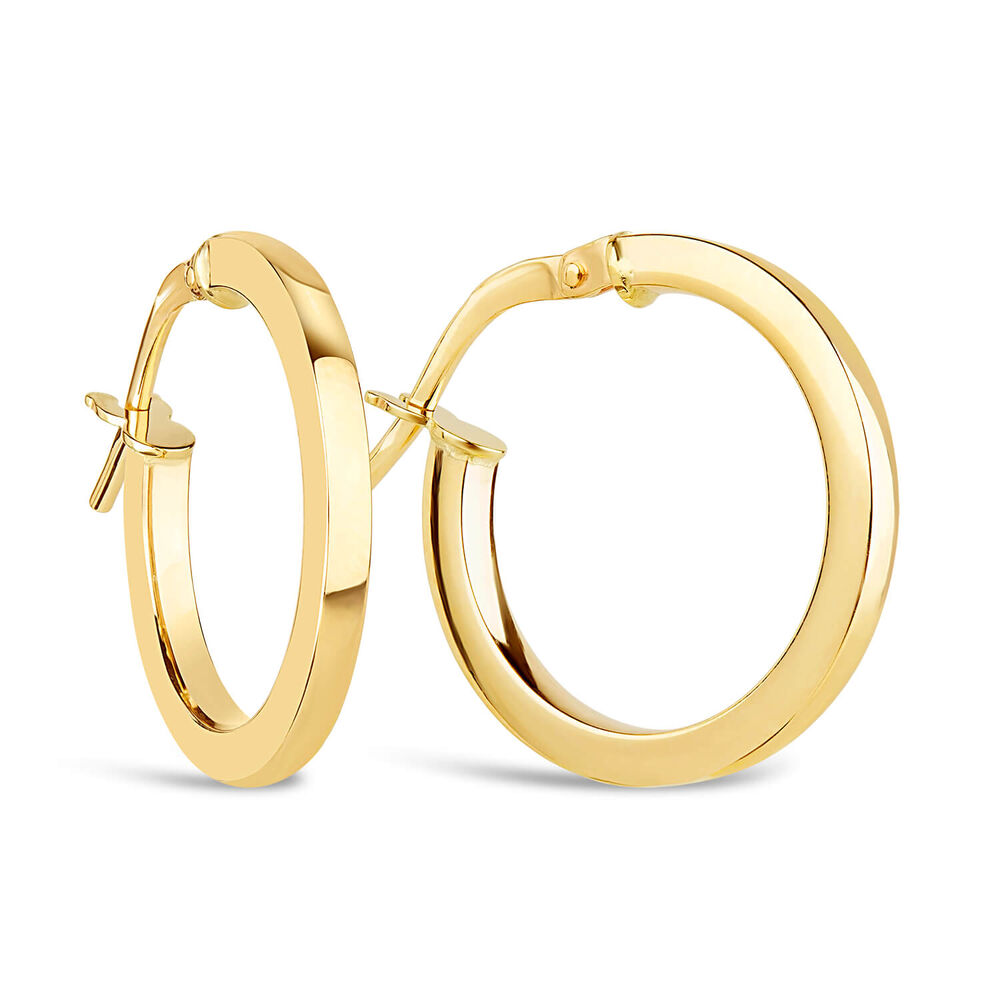 9ct Yellow Gold Round Earrings image number 1