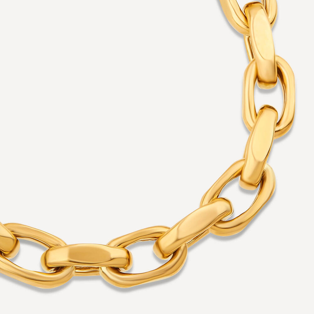 9ct Yellow Gold Diamond Cut Belcher Link Bracelet image number 1