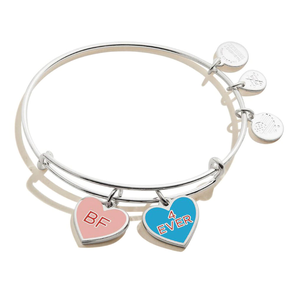 Alex and Ani Silver Plated Best Friends Duo Charm Bangle image number 0