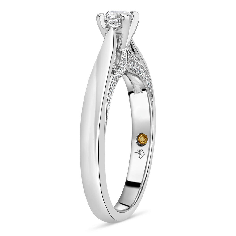 Northern Star 0.37ct Diamond 18ct White Gold Sides Ring image number 4