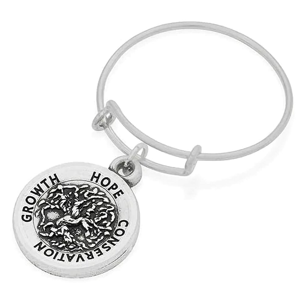 Alex & Ani Jewellery Fields