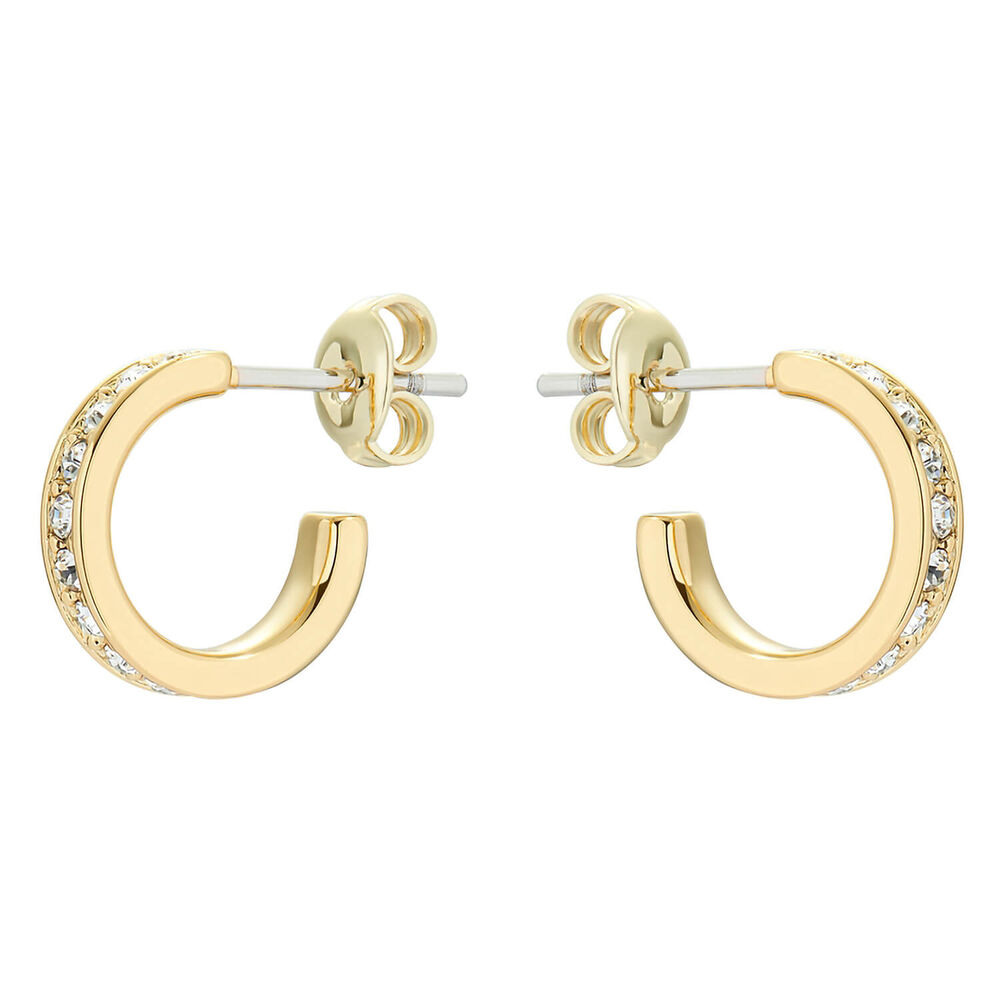 Ted baker earrings hoops Outlet