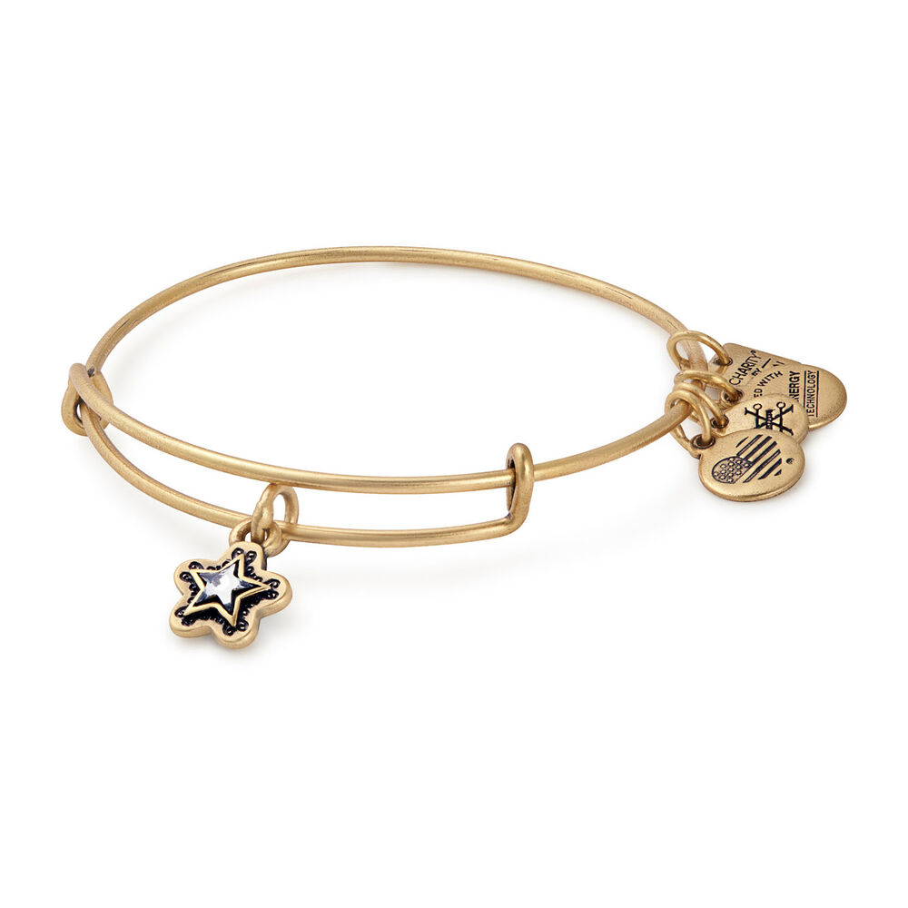 Alex And Ani Rafaelian Gold True Wish 'Make A Wish' Bangle image number 0