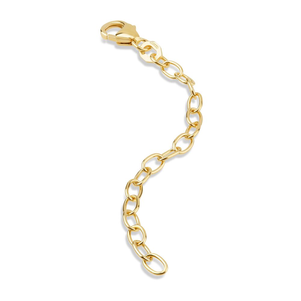 9ct Yellow Gold 7cm Extension Chain image number 1