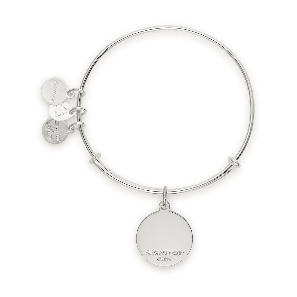 Alex And Ani Silver-Tone It's A Boy Bangle image number 1