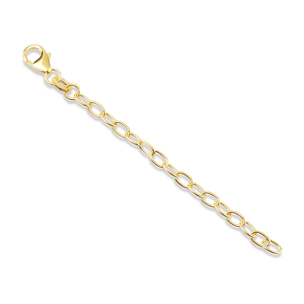 9ct Yellow Gold 7cm Extension Chain image number 0
