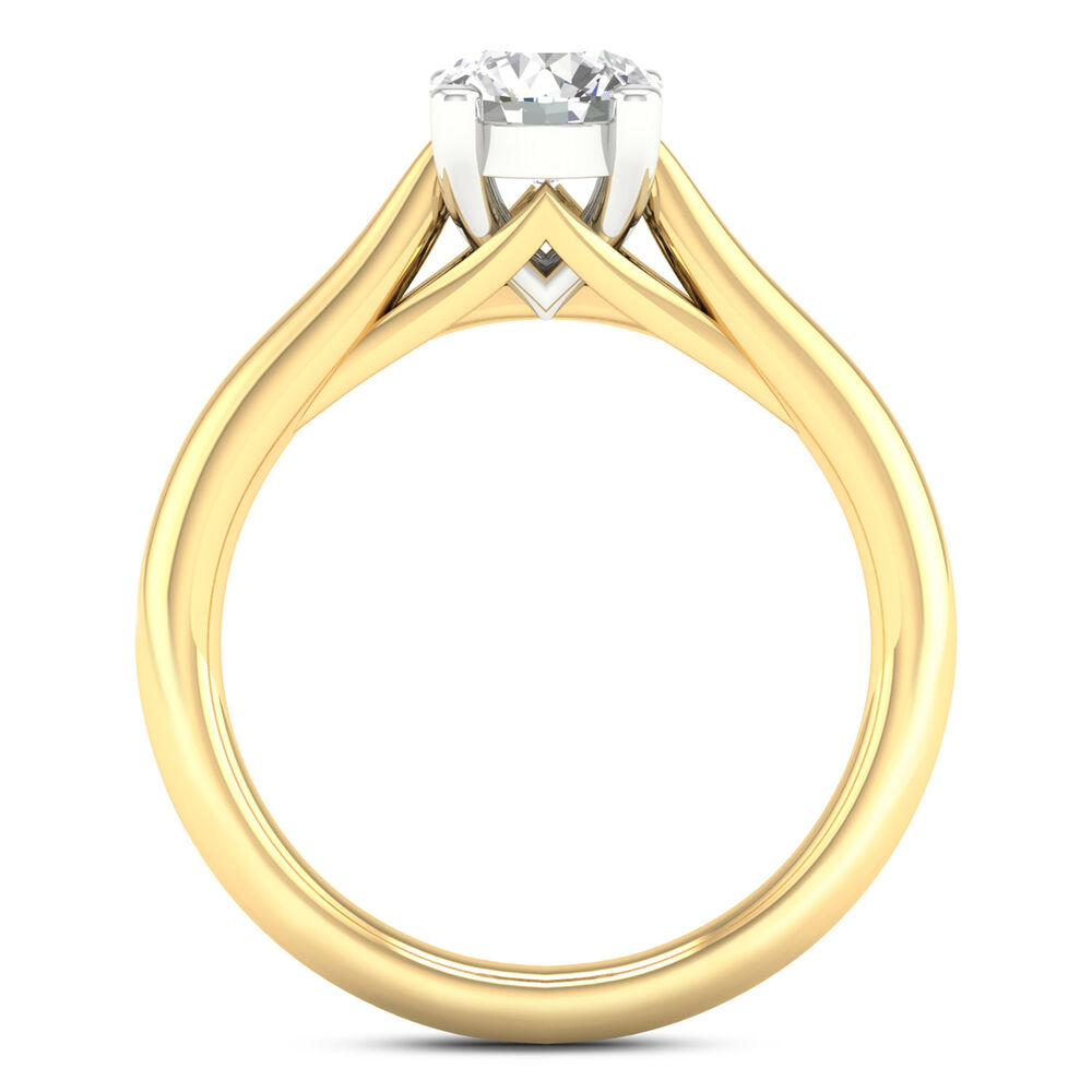18ct Yellow Gold 1.00ct Round Diamond Orchid Setting Ring image number 2