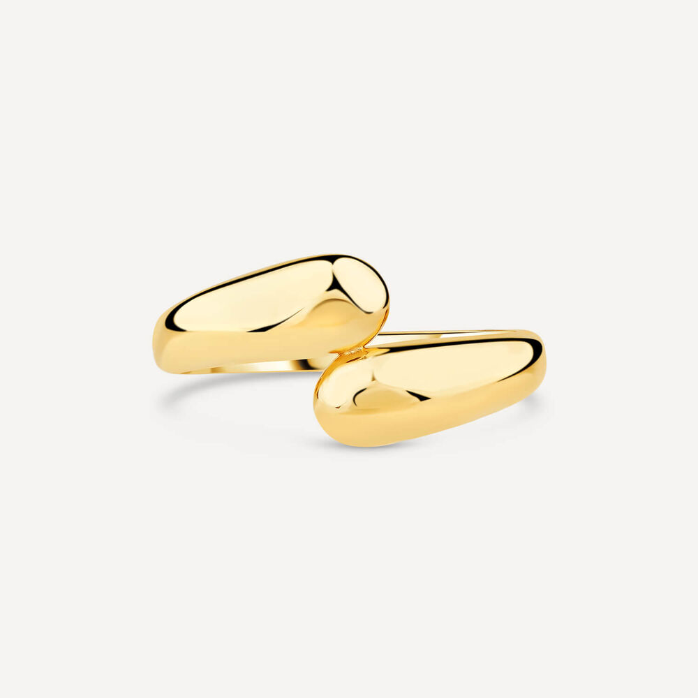 9ct Yellow Gold Polished Twist Plain Ring image number 1
