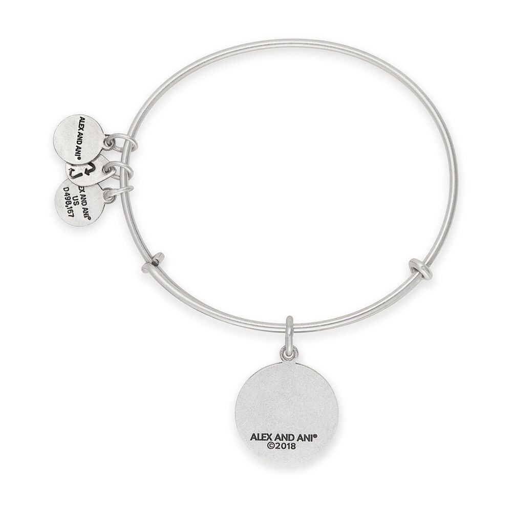 Alex And Ani Soul Sister Silver Charm image number 1