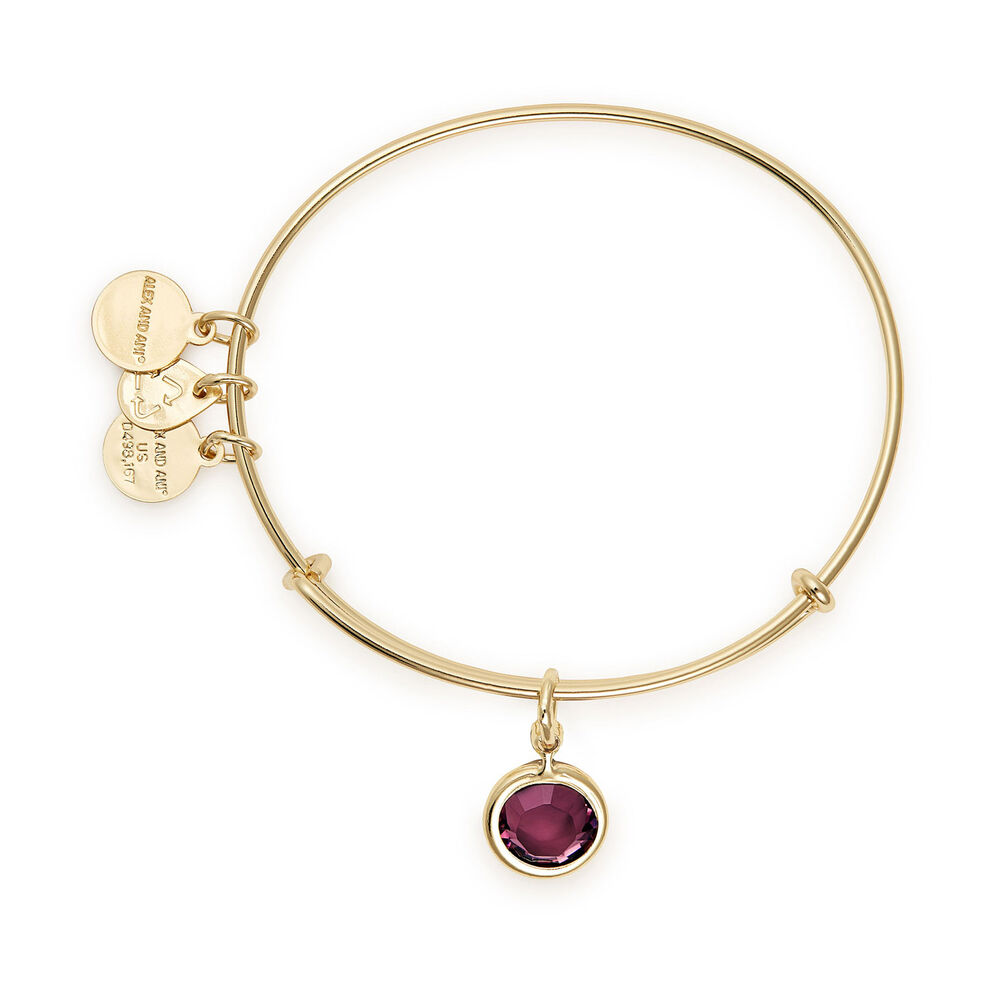 Alex And Ani Gold-Tone Amethyst Swarovski Crystal February Birthstone Bangle image number 1