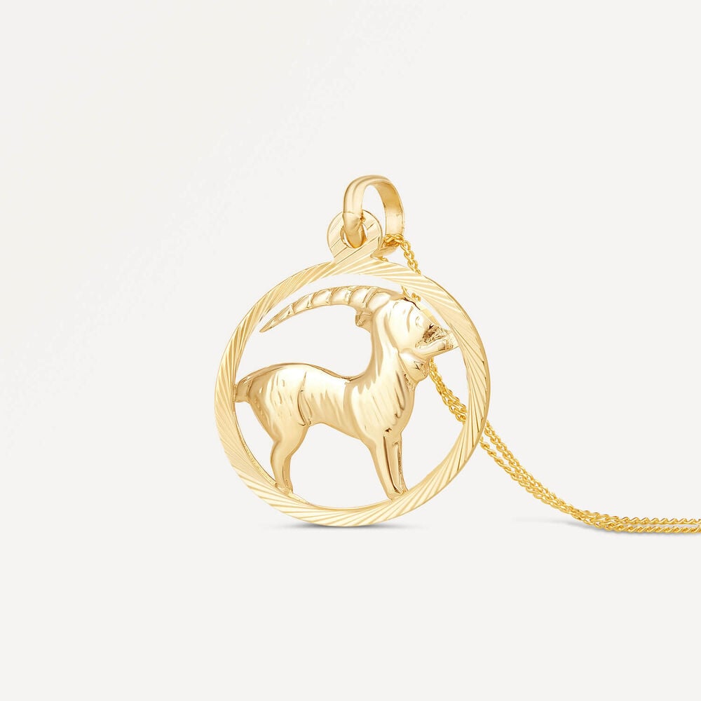 9ct Capricorn Zodiac Pendant (Chain Included) image number 1