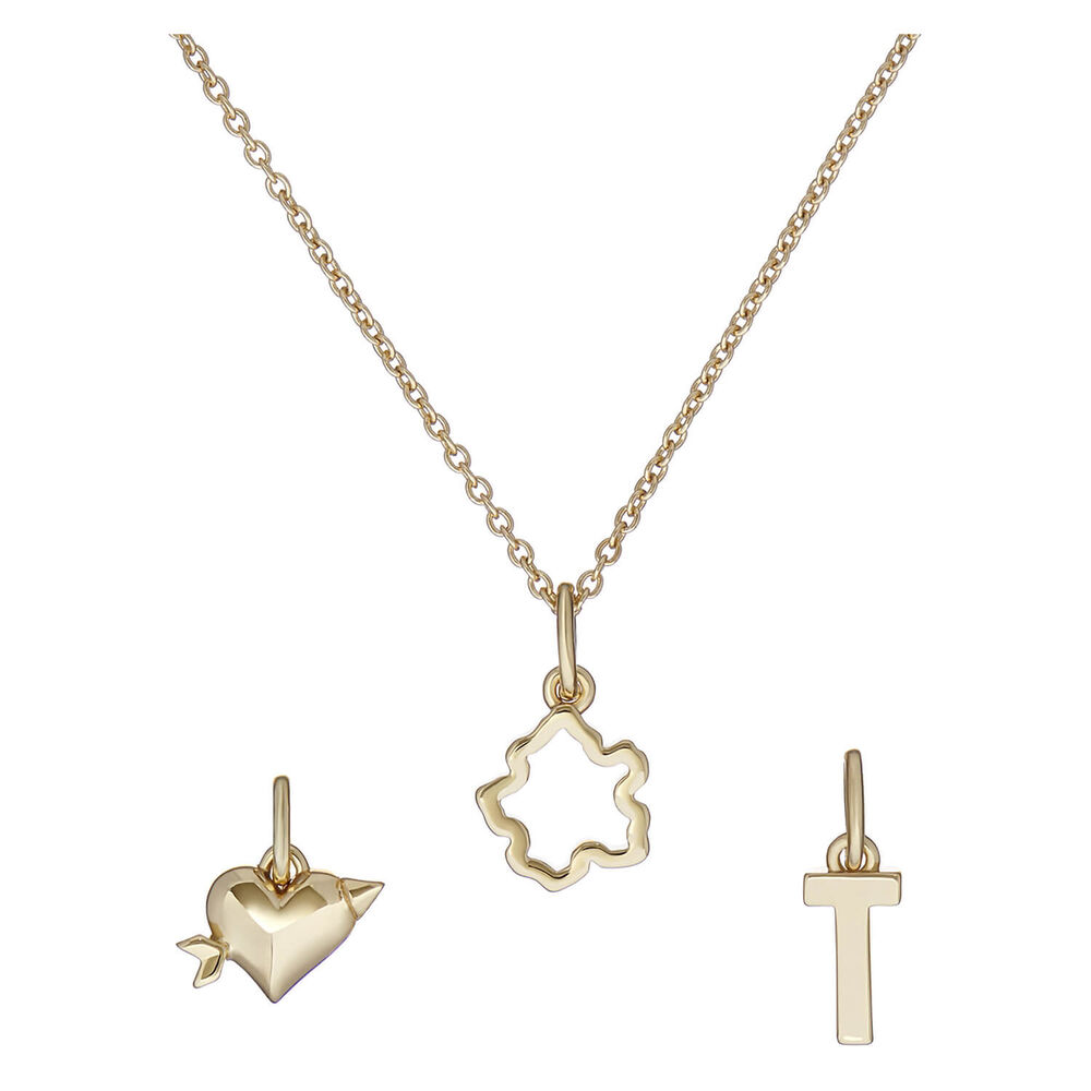 Ted Baker 3 Interchangeable Gold Tone Charms Set image number 5