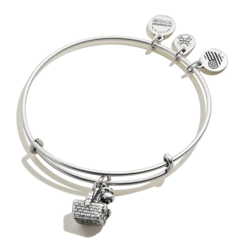 Alex and Ani Rafaelian Wizard of Oz Basket Bangle image number 0
