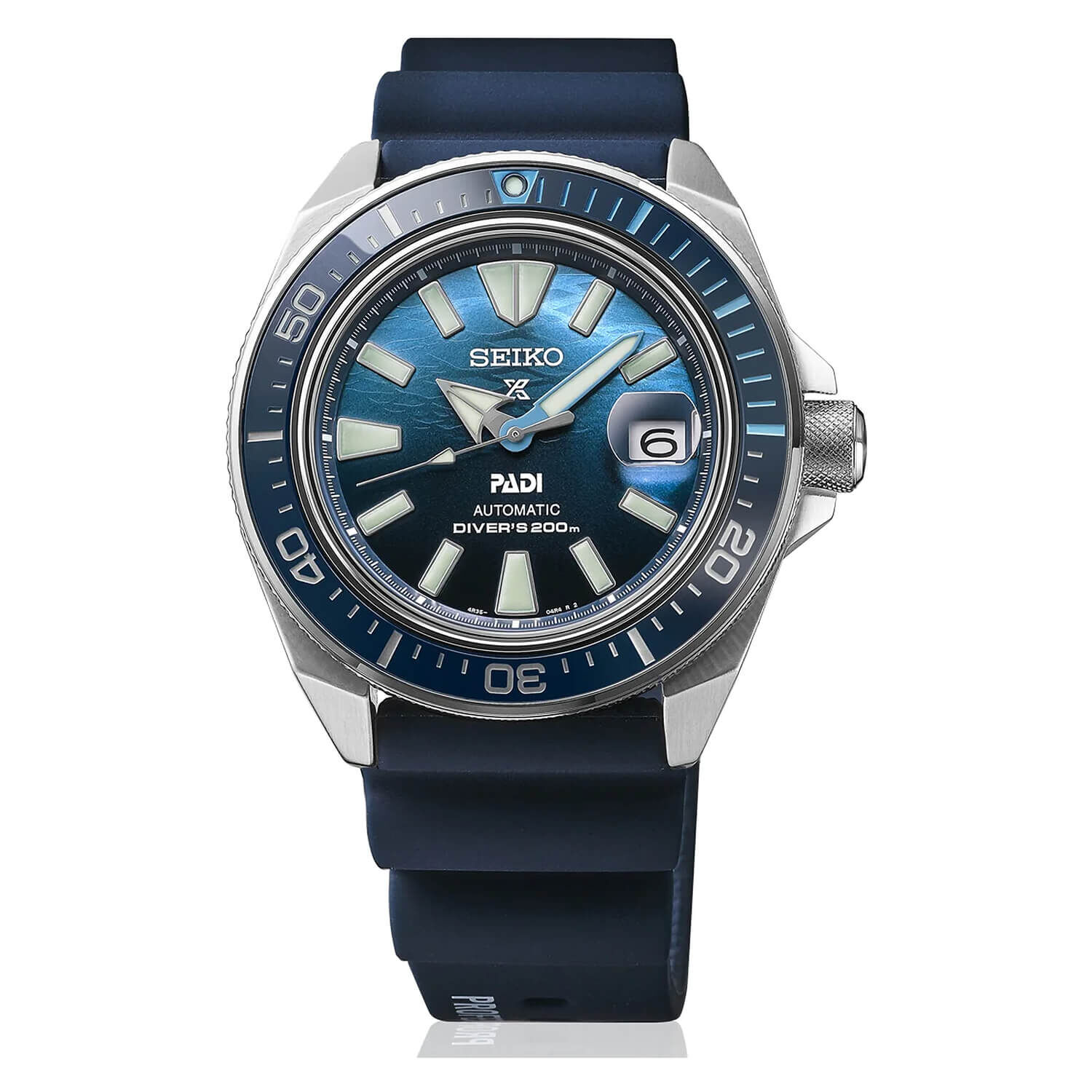 Padi dial 2025