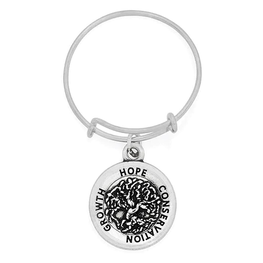 Alex & Ani Jewellery Fields