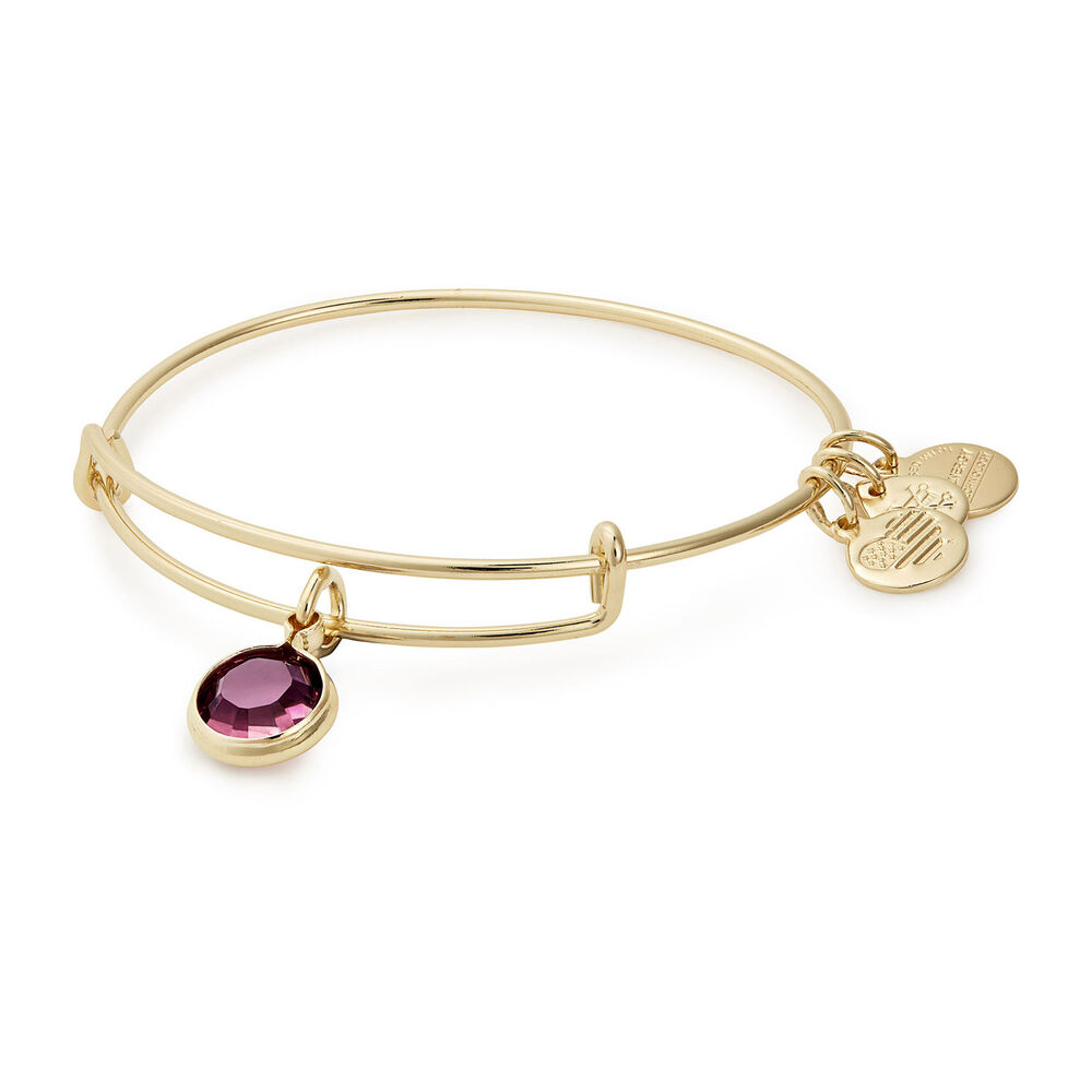 Alex And Ani Gold-Tone Amethyst Swarovski Crystal February Birthstone Bangle image number 0