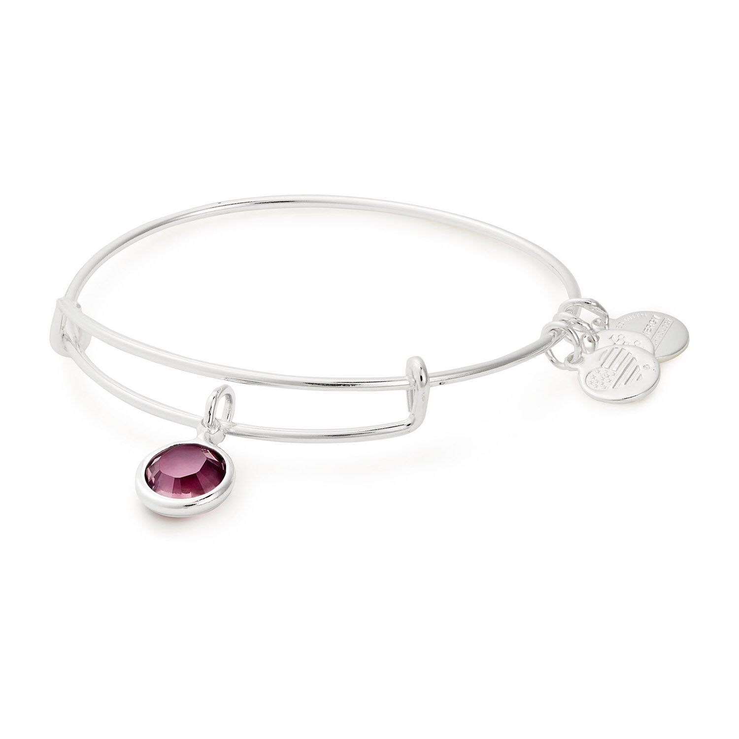February birthstone alex and ani discount