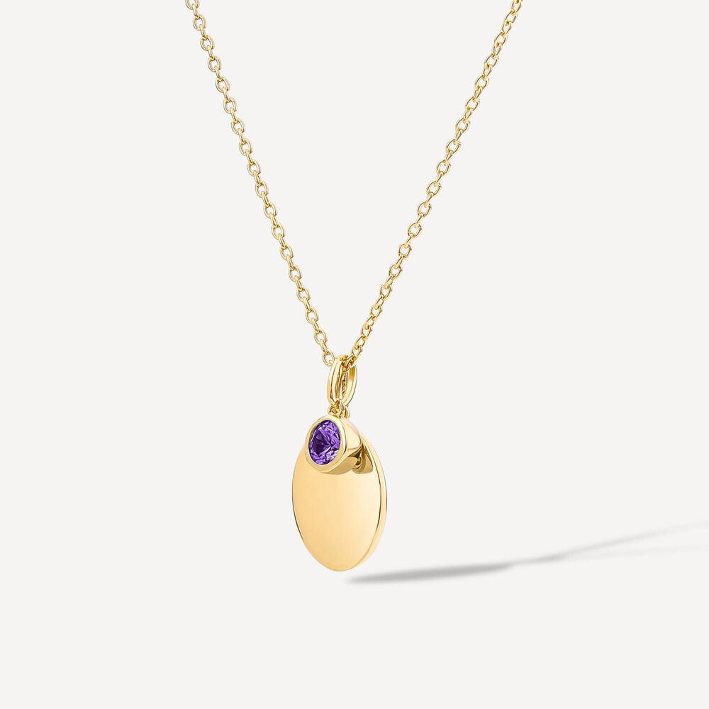 Sterling Silver Yellow Gold Plated Round Amethyst & Disc Pendant