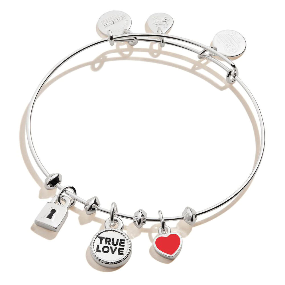 Alex and Ani Silver Plated True Love Trio Charm Bangle image number 0