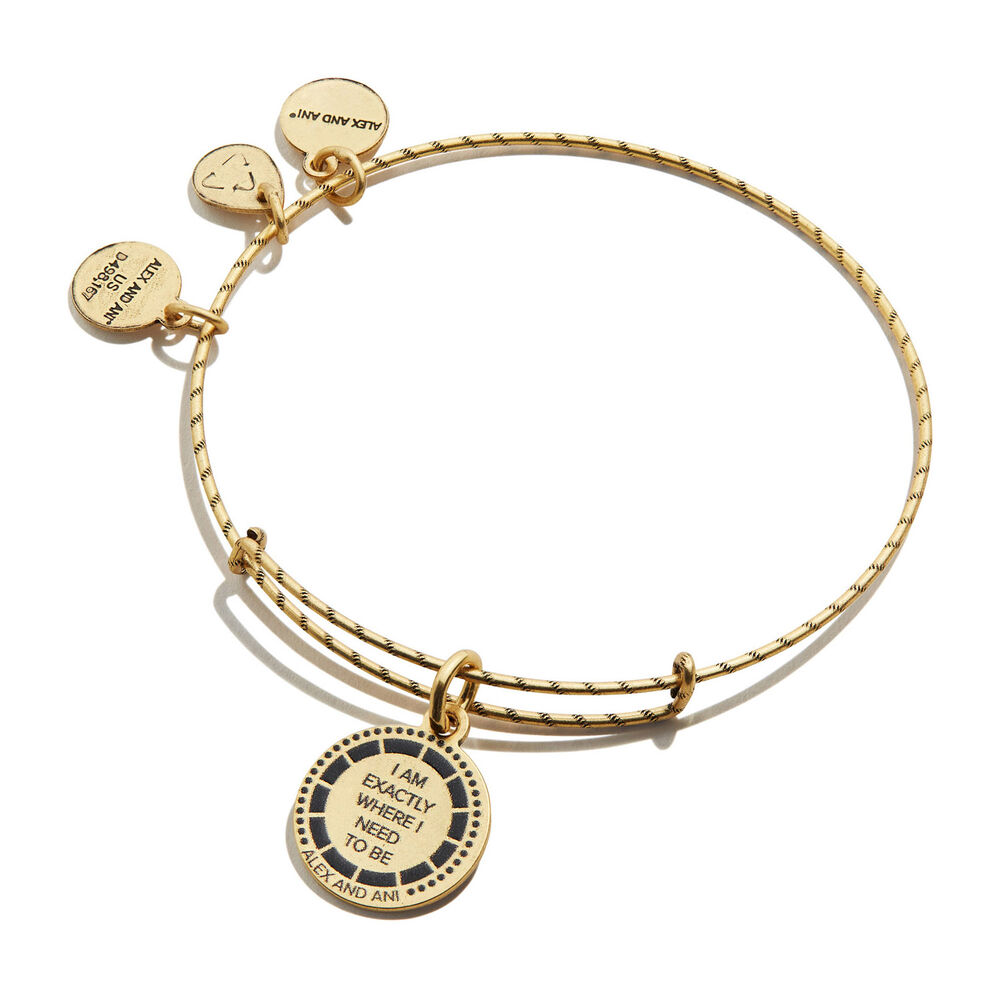 Alex And Ani Gold-Tone Path Of Life Bangle image number 1