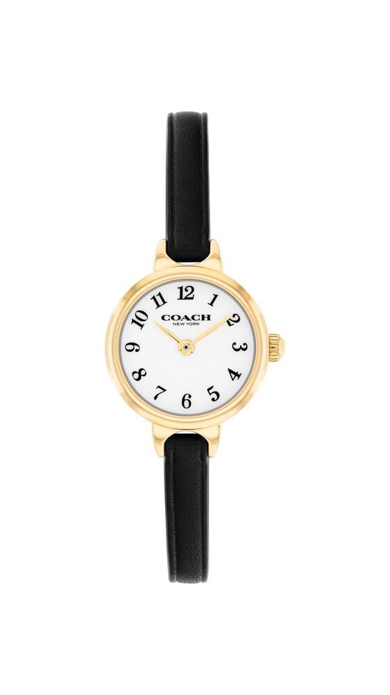 Coach Iris 22mm White Dial Black Leather Strap Watch