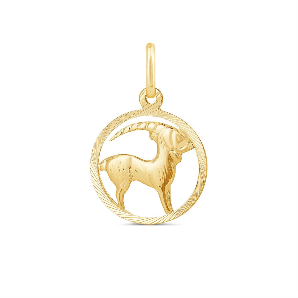 9ct Capricorn Zodiac Pendant (Chain Included) image number 0