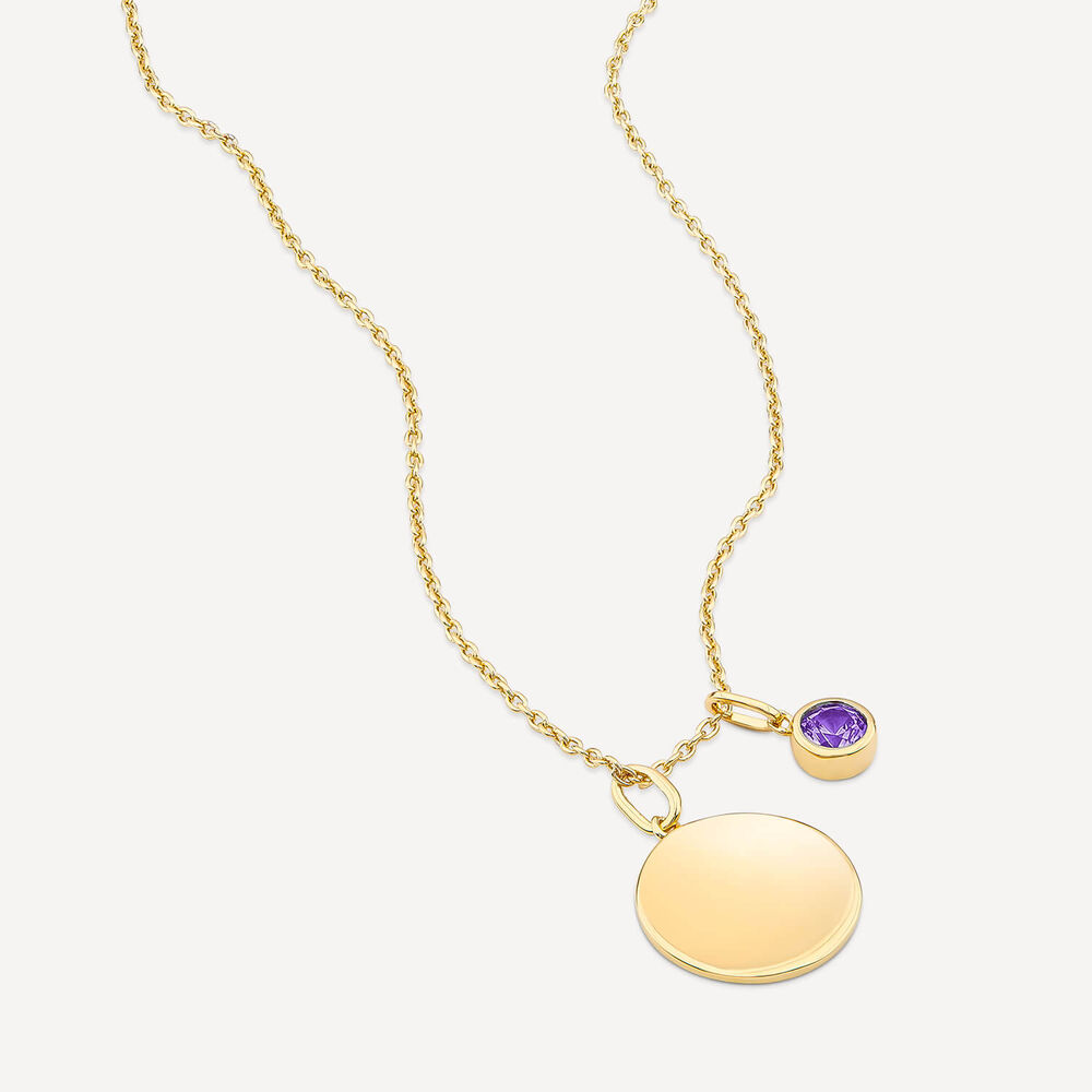 Yellow Gold Plated Sterling Silver February Birthstone Amethyst Disc Pendant