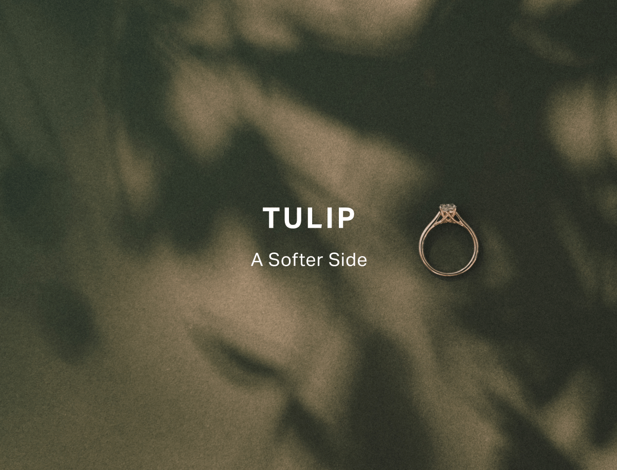 Tulip